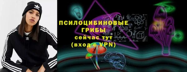 PSILOCYBIN Навашино