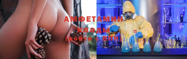 PSILOCYBIN Навашино