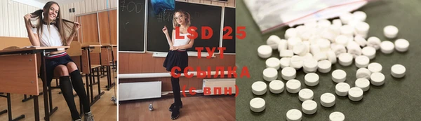 PSILOCYBIN Навашино