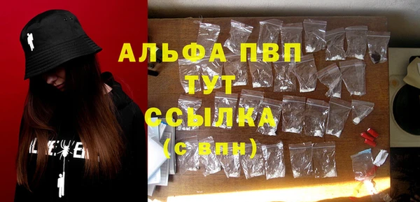 PSILOCYBIN Навашино
