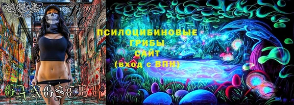 PSILOCYBIN Навашино