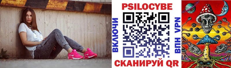 кракен   где можно купить   Устюжна  Галлюциногенные грибы Psilocybe 