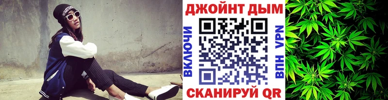 Конопля сатива Устюжна