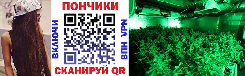 сколько стоит  Устюжна  Бошки марихуана планчик 